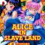 Web Cam Alice in Slave Land- Alice in wonderland hentai Cdzinha