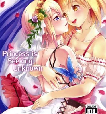 Nena Princess is Seeking Unknown- Granblue fantasy hentai Hidden