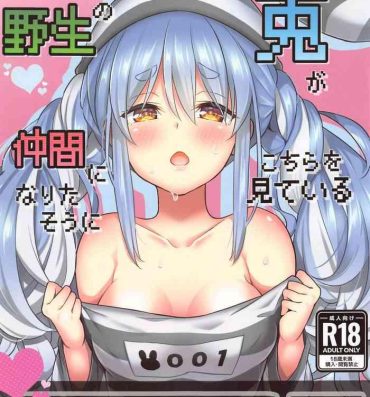 Wank Yasei no Usagi ga Nakama ni Naritasou ni Kochira wo Miteiru- Hololive hentai Semen